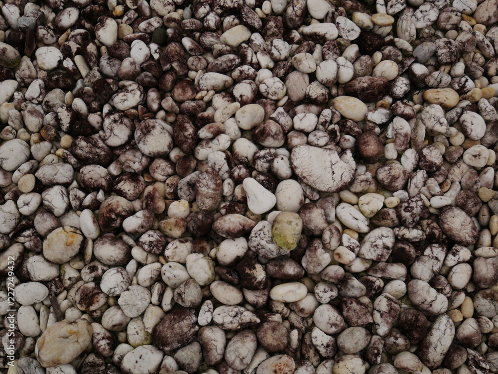 pebbles on the beach,texture of sand,stone rock wall background pebbles on the beach,texture of sand,stone rock wall background