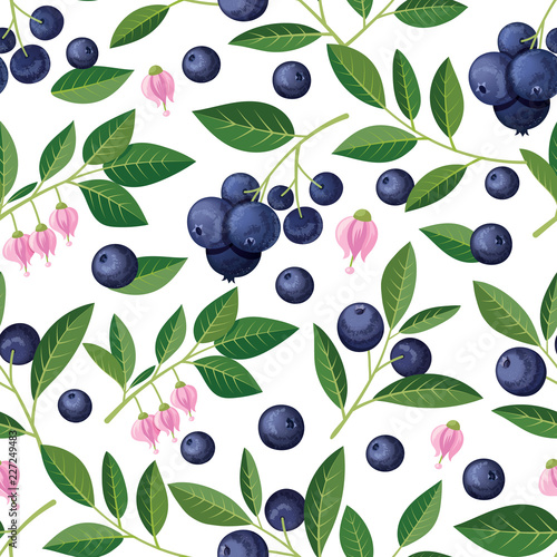Seamless pattern with blueberries, sprigs, flowers. Vector