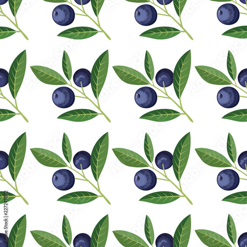 Seamless pattern with blueberries and sprigs. Vector © skazka4111980