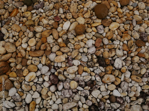 garden of stone,sand stone floor background,rock