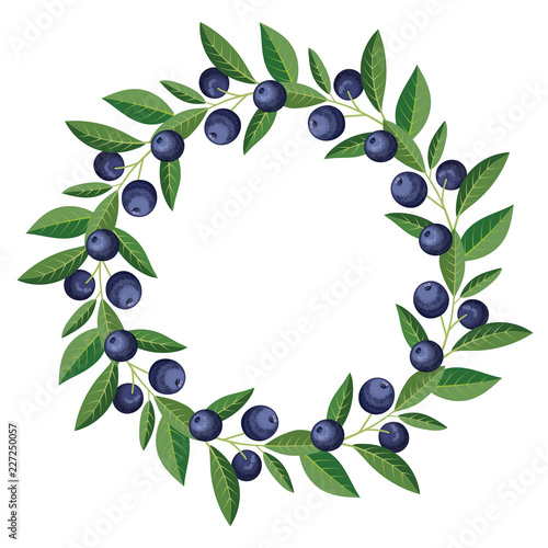Round frame with delicious blueberry fruit. Vector illustration