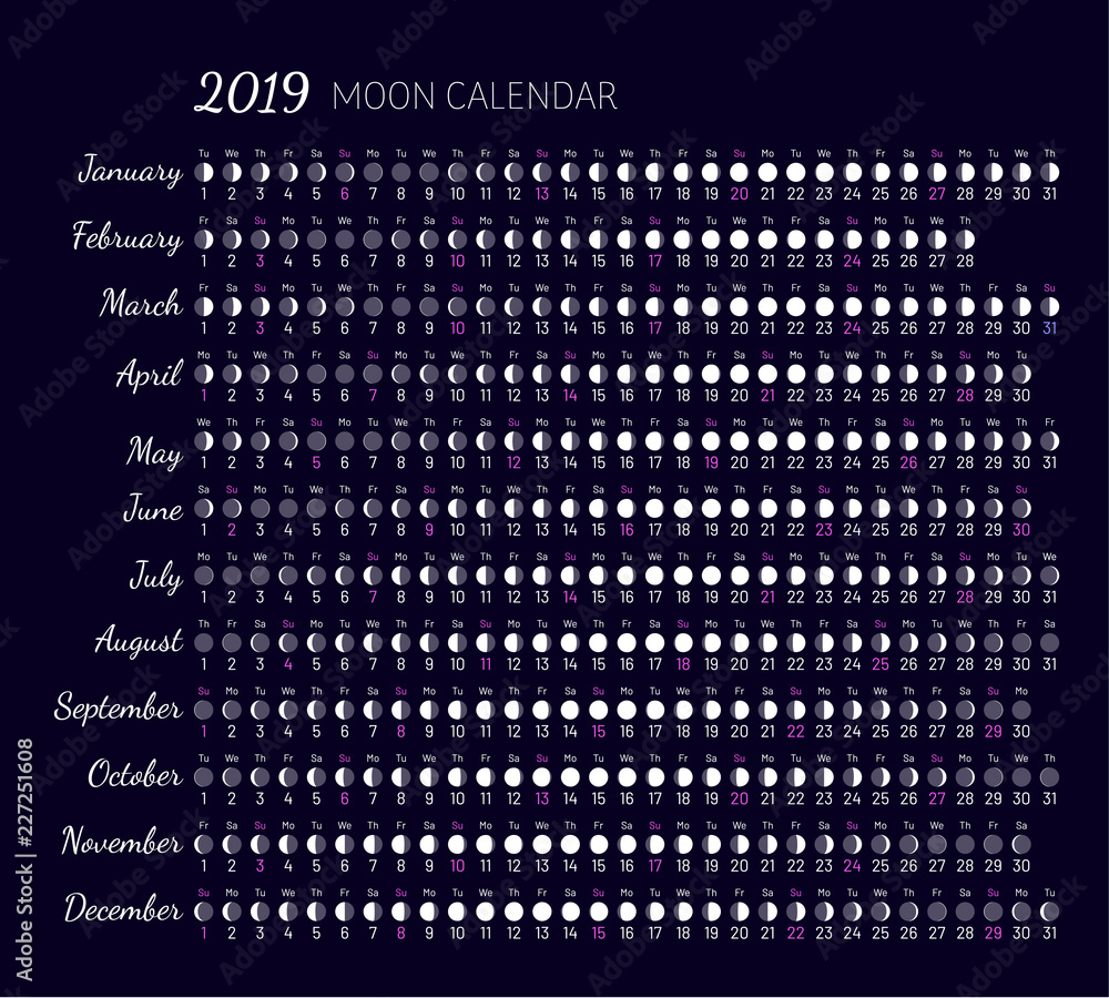 Moon illumination and moon age at 2019 year. Daily planner of lunar