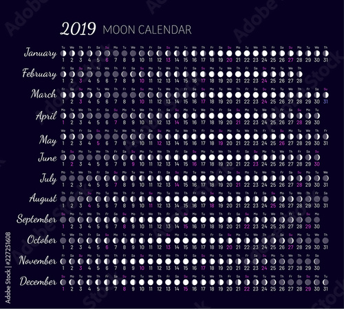 Moon illumination and moon age at 2019 year. Daily planner of lunar cycles. Lunar stages calendar. Dates for full, new moon and every phase in between. Cycles of the moon vector illustration.