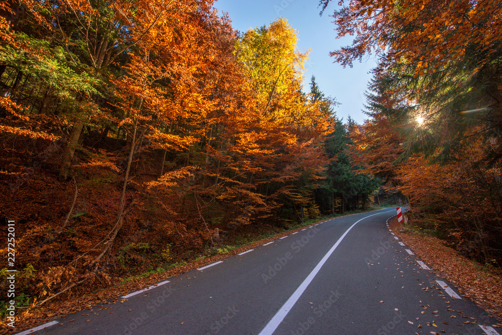Fototapeta premium Autumn road