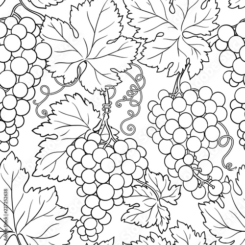 grapes vector pattern