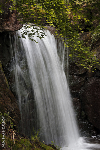 Fototapeta Naklejka Na Ścianę i Meble -  Wasserfall fließend, Tirol, Österreich, Europa