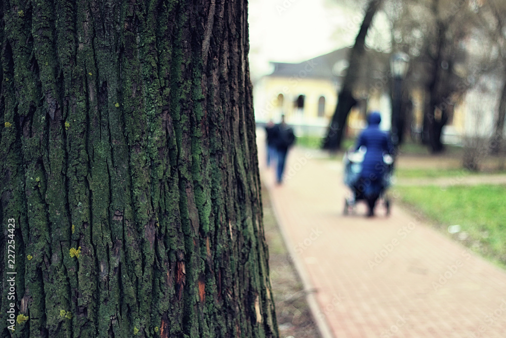Obraz premium city spring pathway