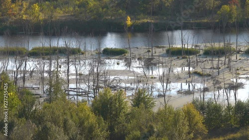 evening on the banks of the river, flooded trees and deciduous forest landscape. photo