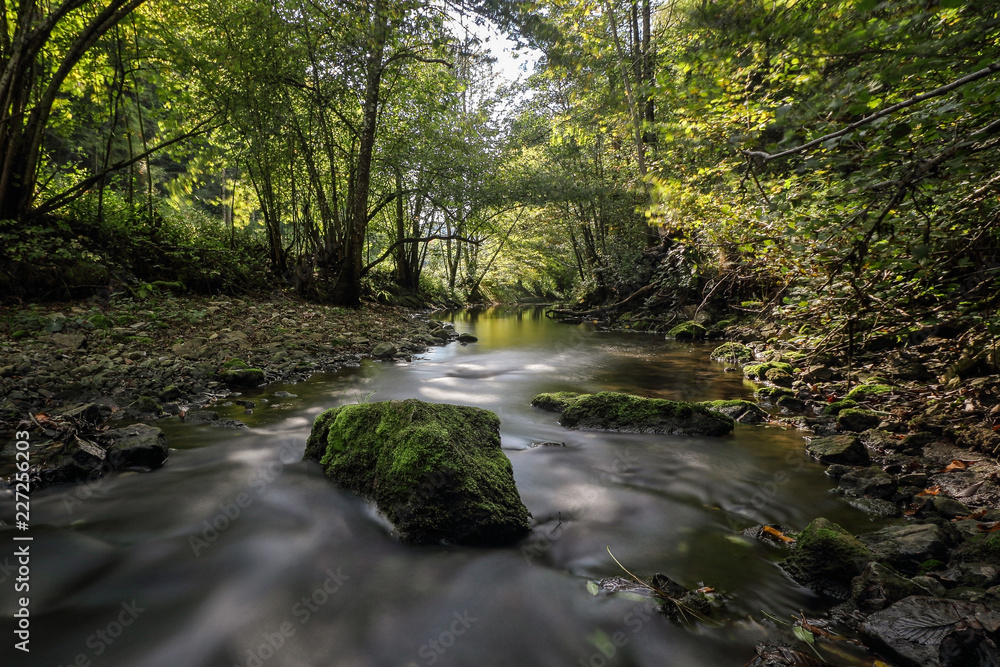 Fototapeta premium Flow