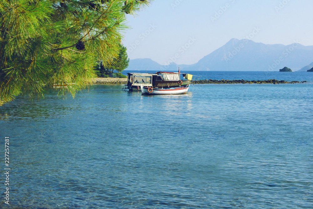 Fototapeta premium sea bay with green trees and the beach on the Mediterranean Sea