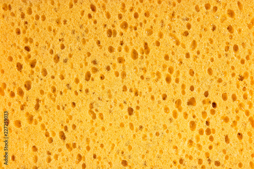 orange bath sponge