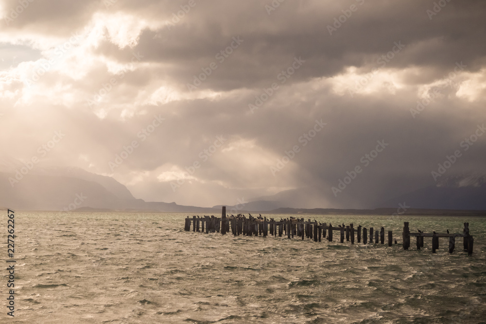 King Cormorant colony, Old Dock, Puerto Natales, Antarctic Patagonia, Chile. Sunset