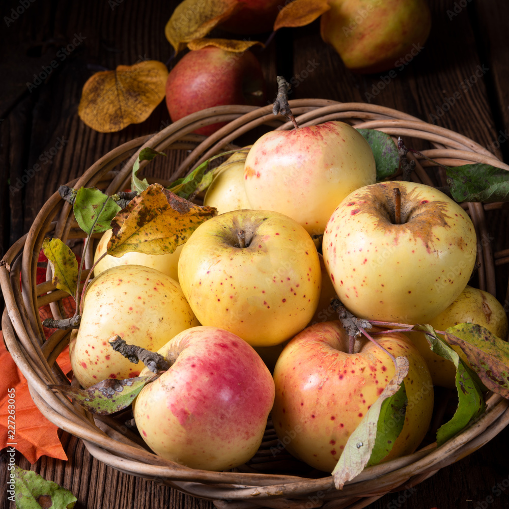 fresh and tasty organic apples in a basket