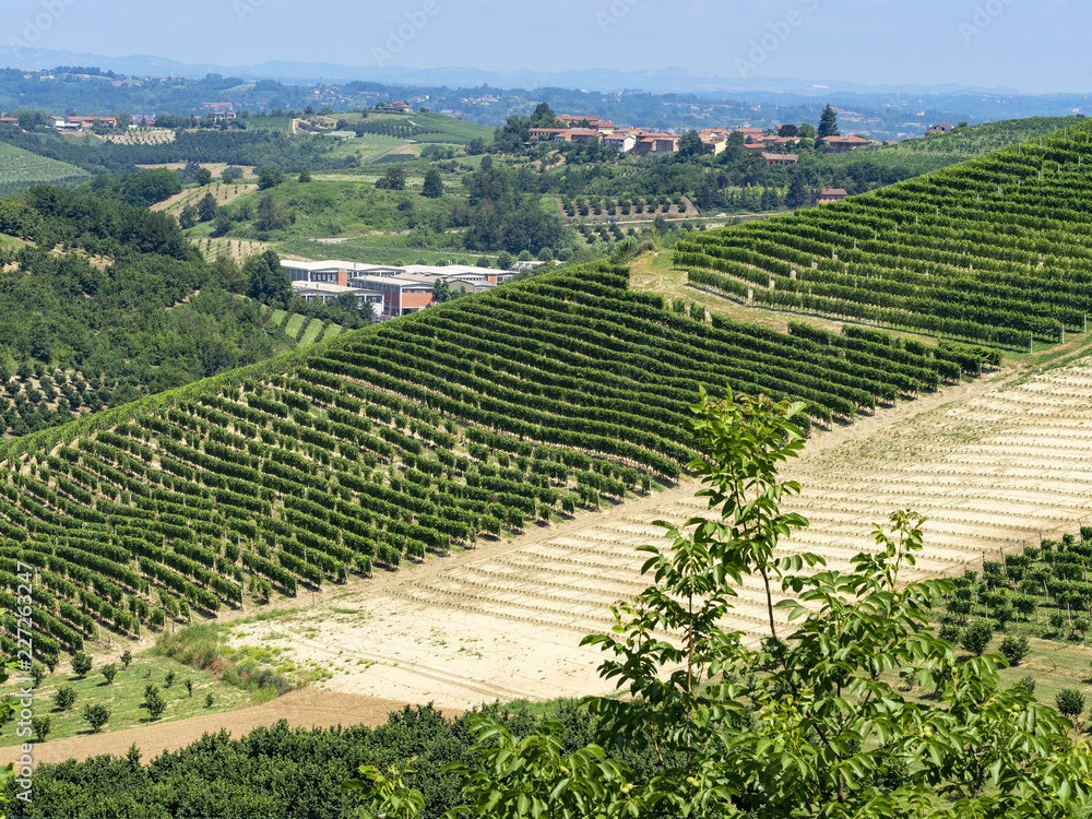 Road to Govone and San Martino Alfieri, Asti, in Monferrato