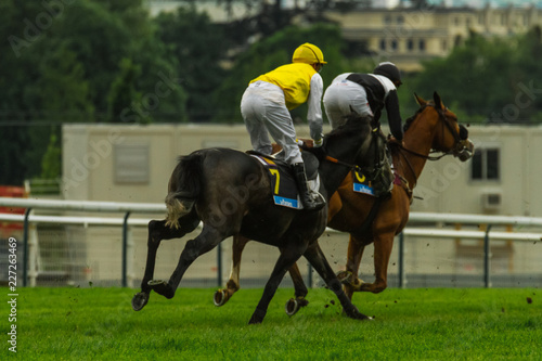 Duel in a race between two horses, view from behind / Two horses fighting for the first place during a steeplechase horse race; view from 3/4th [behind].
