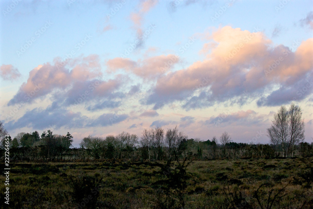 Obraz premium Sunset in the field