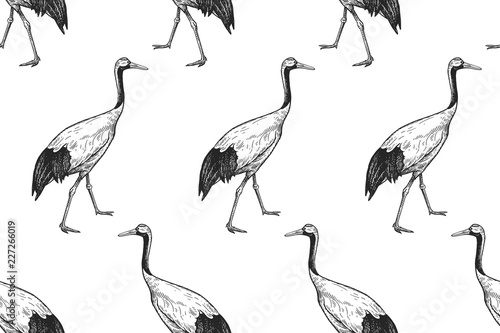 Birds Japanese cranes. Seamless pattern. Black and white.