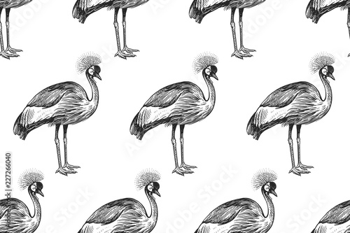 Birds Crowned Cranes. Seamless pattern. Black and white.