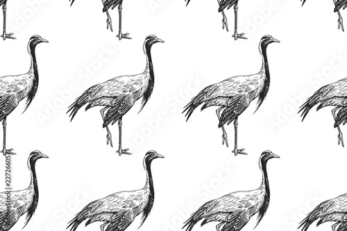 Birds cranes. Seamless pattern. Black and white.