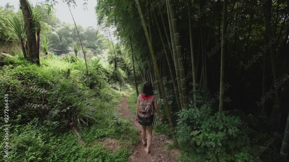 Traveler young womang with bag walks along a path in a tropical park with lots of tropical plants, palm trees and a bamboo plantation on a sunny day Traveler young womang with bag walks along a path in a tropical park with lots of tropical plants, palm trees and a bamboo plantation on a sunny day