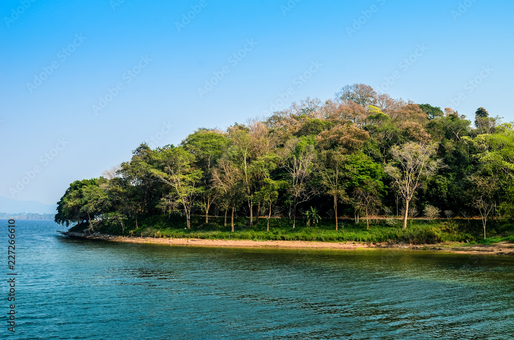 Tree and island at lake