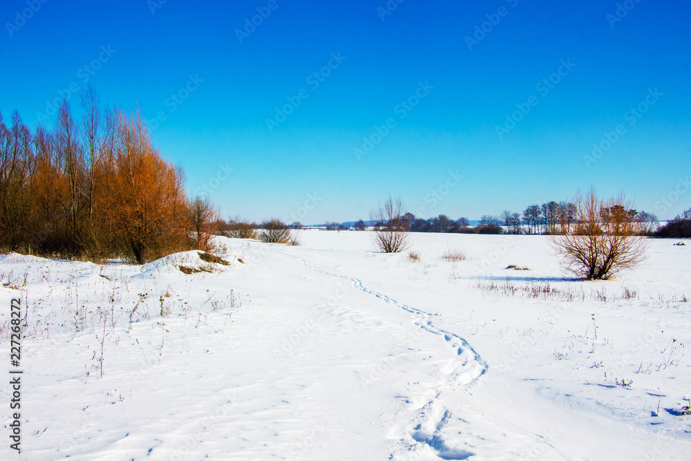 The path in the field, trodden in the snow, on a sunny winter day_ The path in the field, trodden in the snow, on a sunny winter day_
