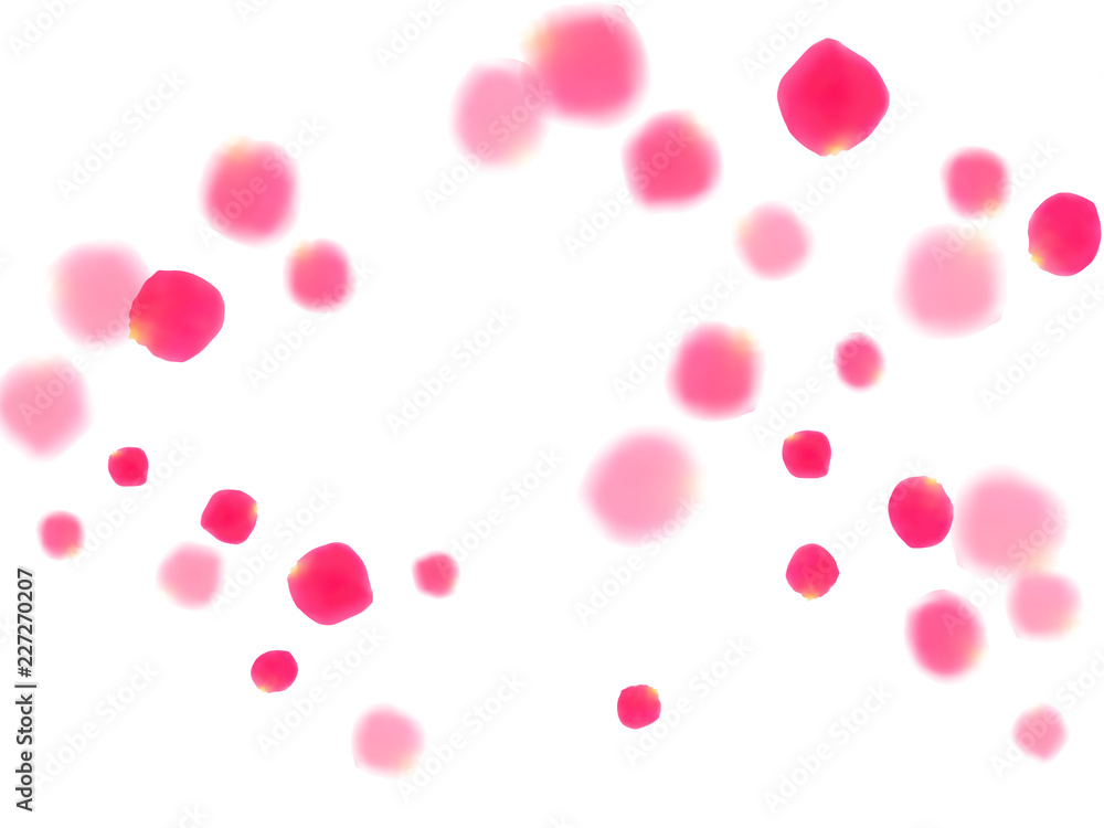 Pink rose petals falling vector valentine background.