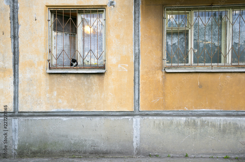 Obraz premium Cat on the windowsill