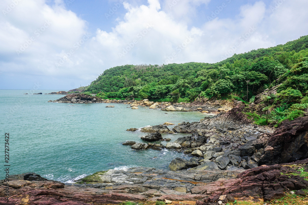 Flora and fauna of the tropical peninsula in the jungle. Gokarna Village, India