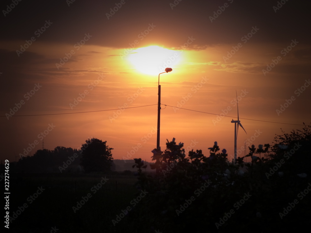 soleil d'automnne soleil d'automnne