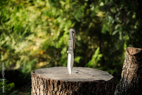 Survival knife sticking out of a wooden stump