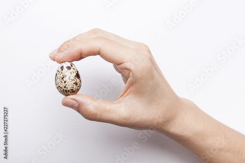 kadının elinde bıldırcın yumurtası