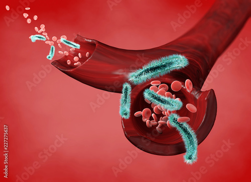 Vena e globuli rossi attaccati da un virus, circolazione di batteri all’interno di un’arteria. Escherichia coli. Sezione di una vena. 3d rendering photo