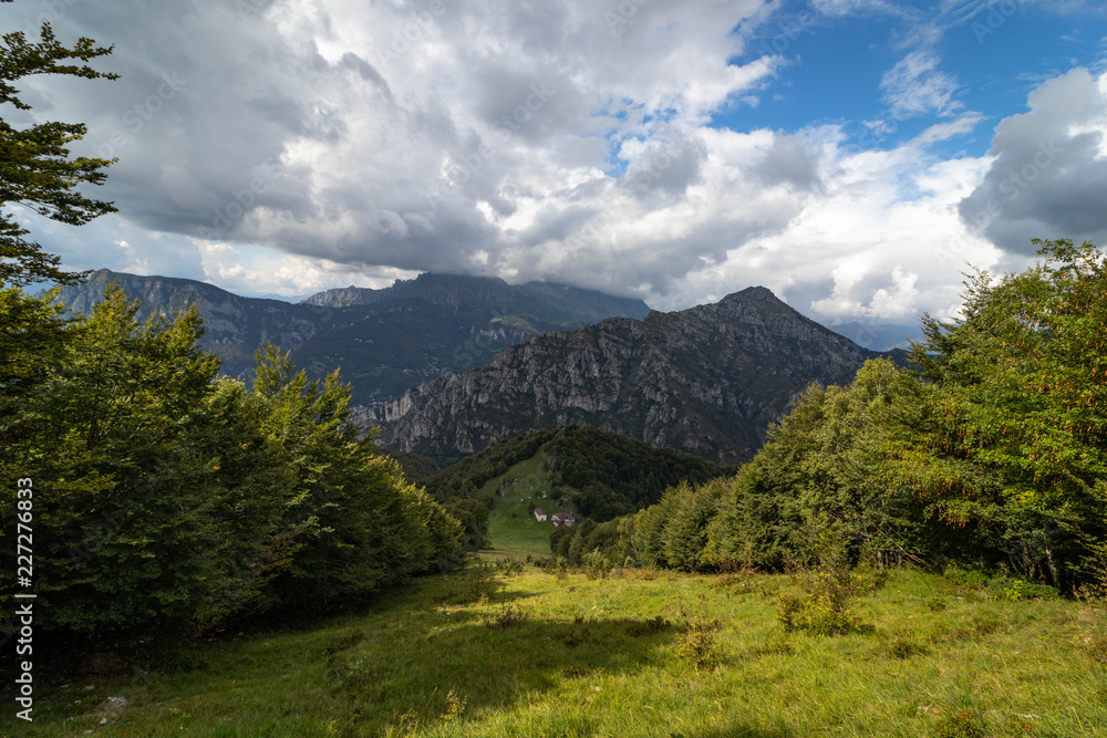 prato verde e montagne