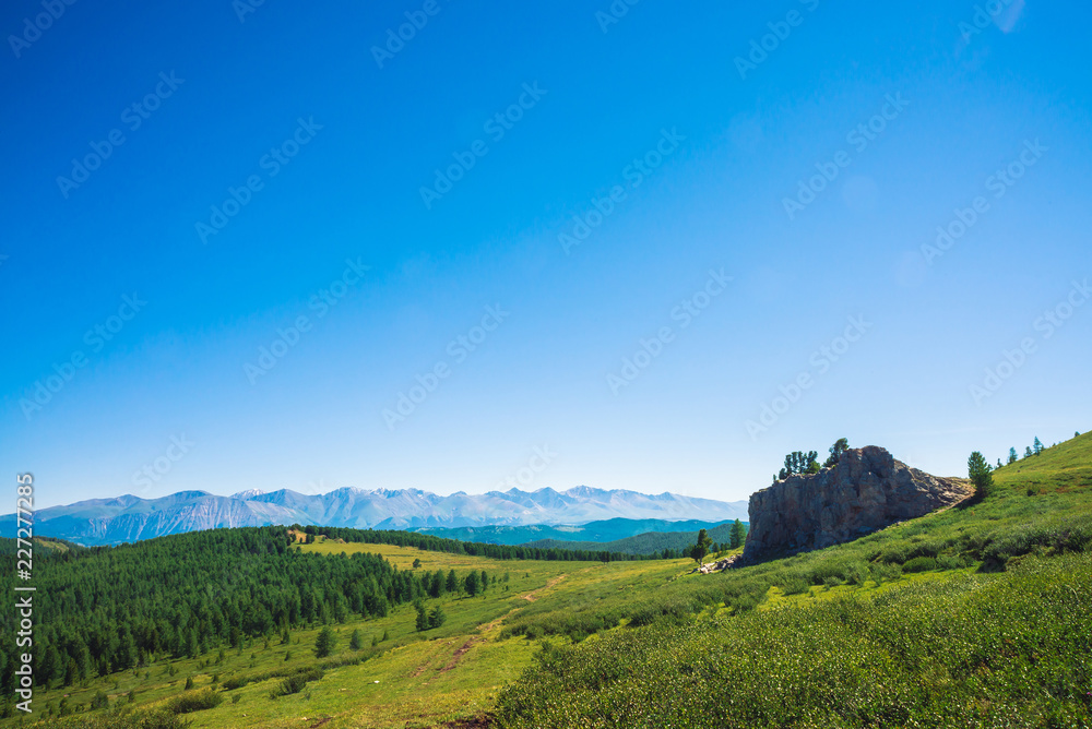 Path to giant mountains across green valley and forest. Meadow with rich vegetation of highlands and unusual rocky stone with cedars. Coniferous trees in sunlight. Amazing mountain landscape.