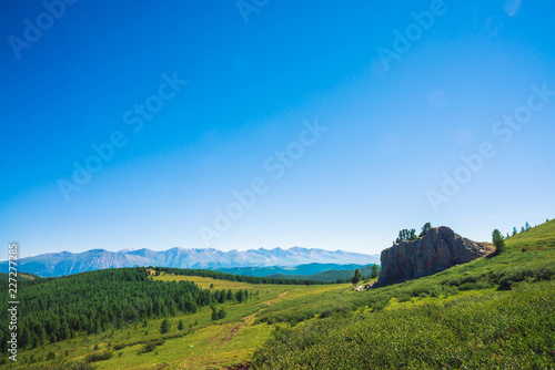 Path to giant mountains across green valley and forest. Meadow with rich vegetation of highlands and unusual rocky stone with cedars. Coniferous trees in sunlight. Amazing mountain landscape.