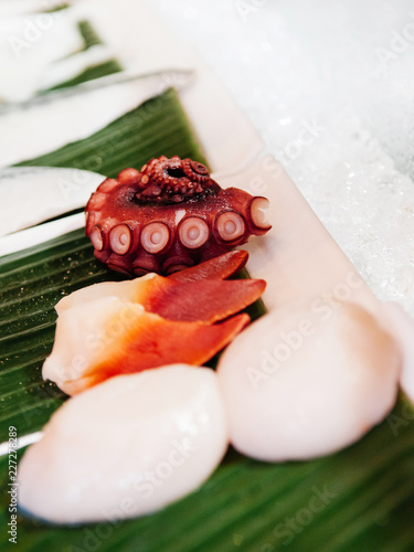 Octopus Tako and Hokkigai stimpson surf clam on ice for Japanese sushi sashimi photo