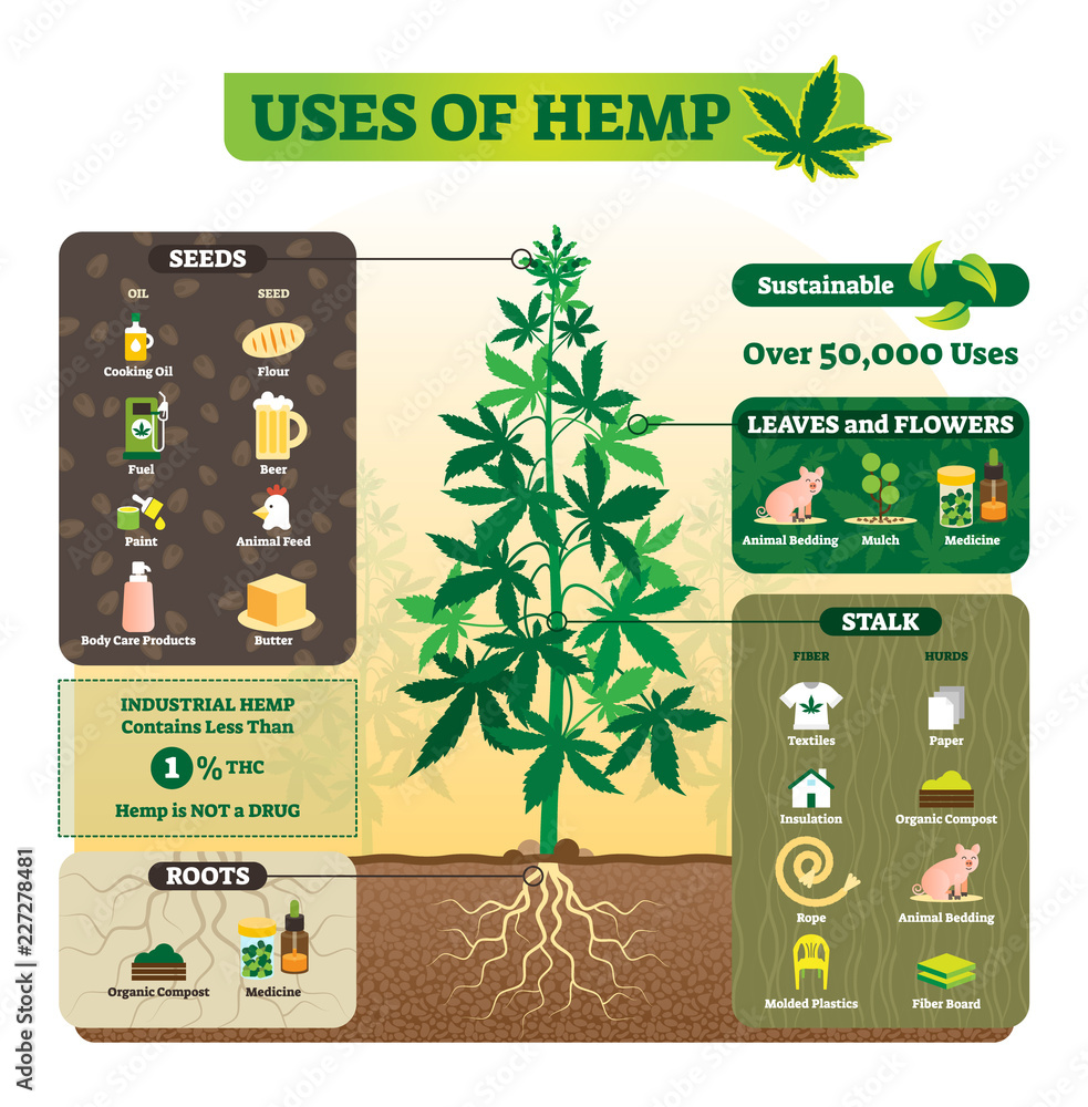 Εκτύπωση καμβά Uses of hemp vector illustration