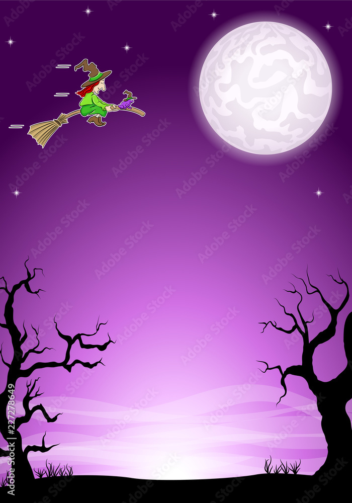 Obraz premium halloween night background with a flying witch and full moon