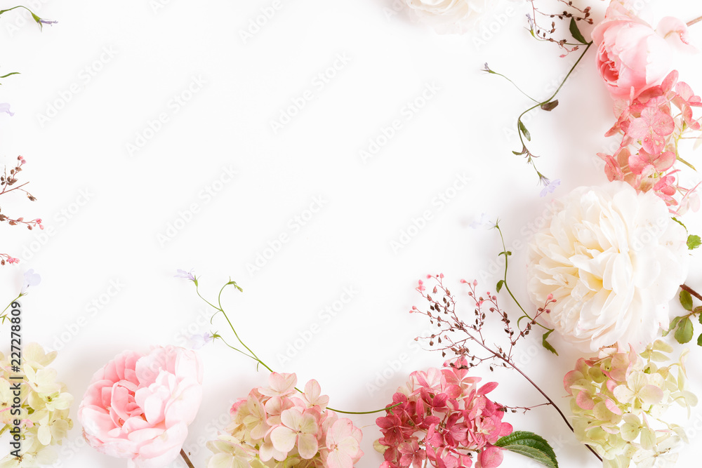 Fototapeta premium Świąteczny biały różowy kwiat Róża angielska i skład hortensji na białym tle. Transparent. Widok z góry, płaski układ. Skopiuj miejsce. Koncepcja urodziny, matki, Walentynki, kobiet, dzień ślubu.