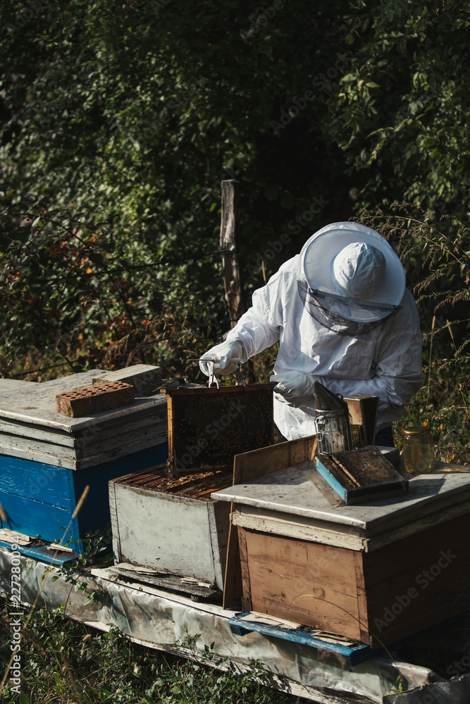 Male beekeeper in protective suite working with beehives and collecting honey. Beekeeping concept. Male beekeeper in protective suite working with beehives and collecting honey. Beekeeping concept.
