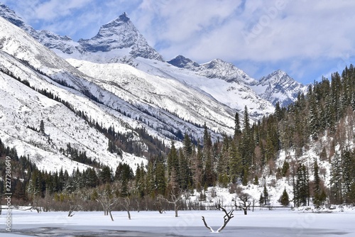 Frozen lake and dead trees at the Shuangqiao Valley, Sichuan, China   photo