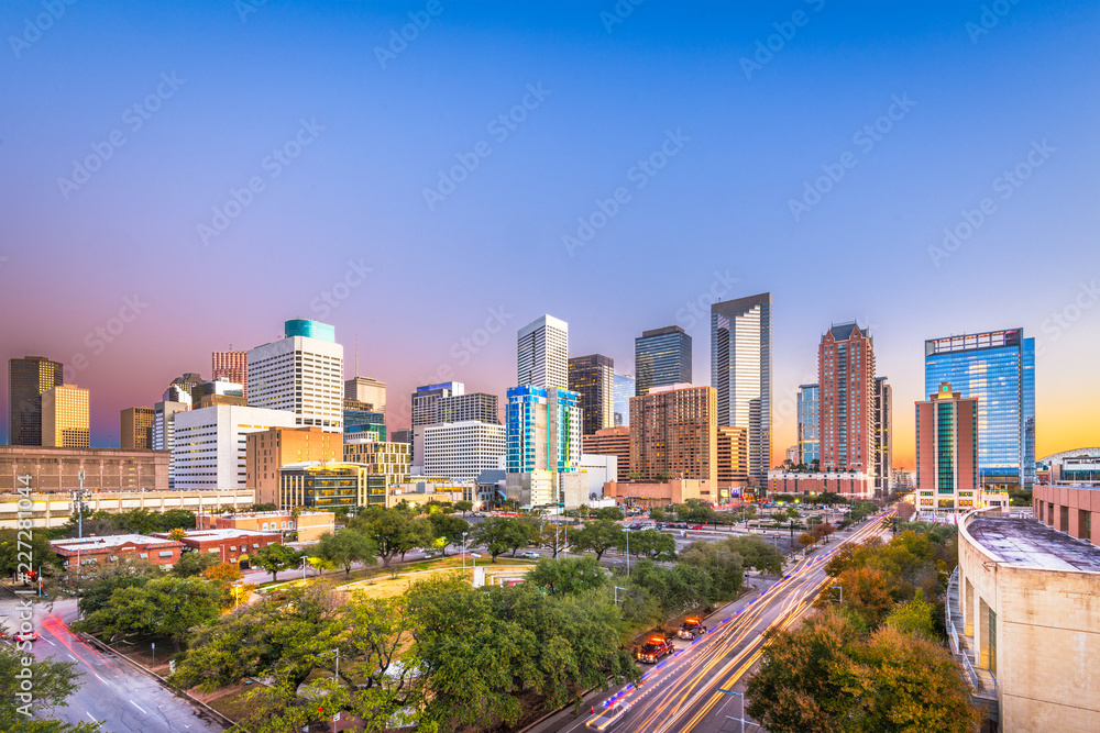 Fototapeta premium Houston, Teksas, USA Skyline