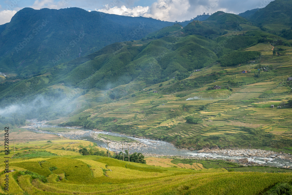 rice fields on terraced of Sapa Vietnam.


