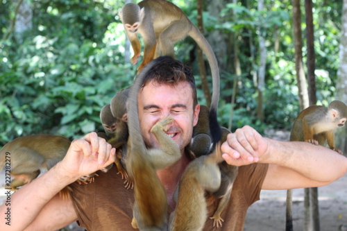 Man training a group of monkeys