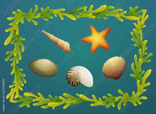 Sea shells and starfish with seaweed border on blue green background. Vector illustration. 