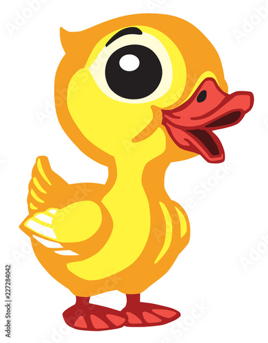 cartoon baby duck . Isolated vector for little kids