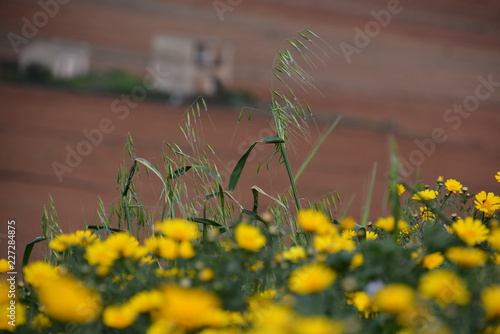 Hod Hasharon Park photo