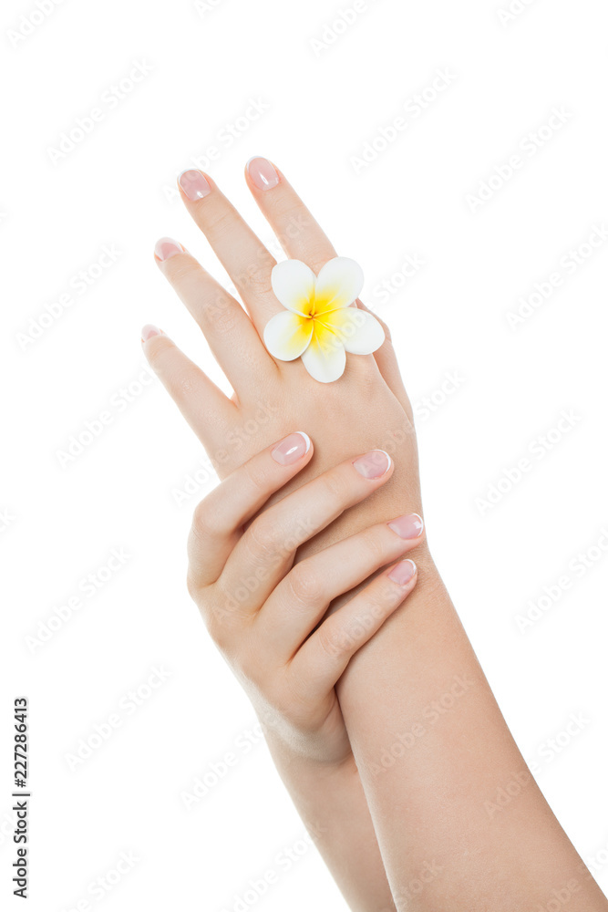 Beautiful woman hands with perfect nails after manicure salon with french manicure isolated on white background. Spa manicure concept