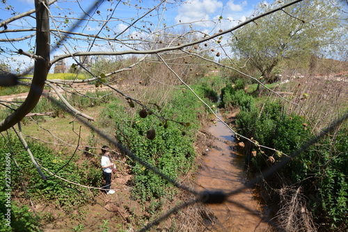 Hod Hasharon Park
 photo